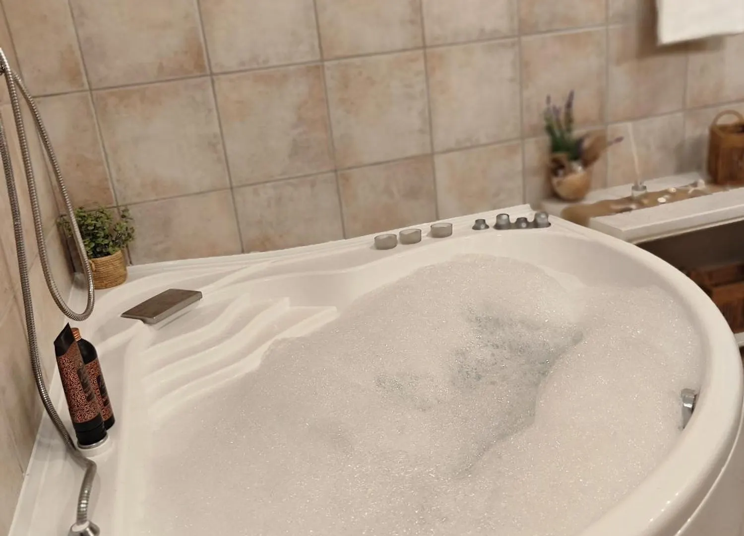 Apartman Dominick Spalato