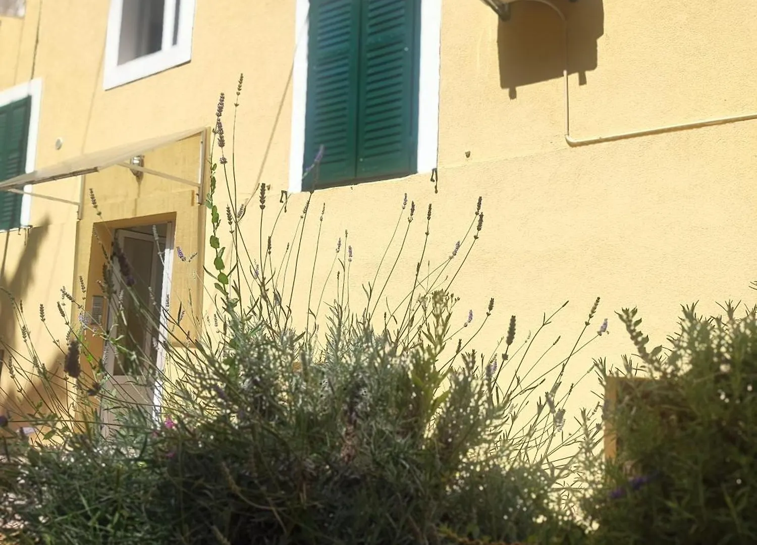 Apartman Dominick Split